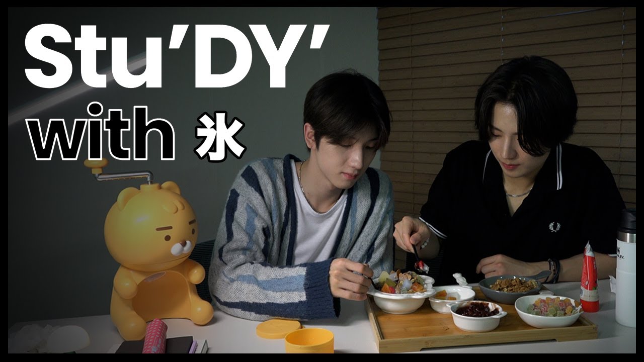 0.5 HOUR STU'DY' WITH ME | 도염이랑 같이 공부해요 | ASMR MUKBANG | 빙수와 함께 온 손님| 밤 공부