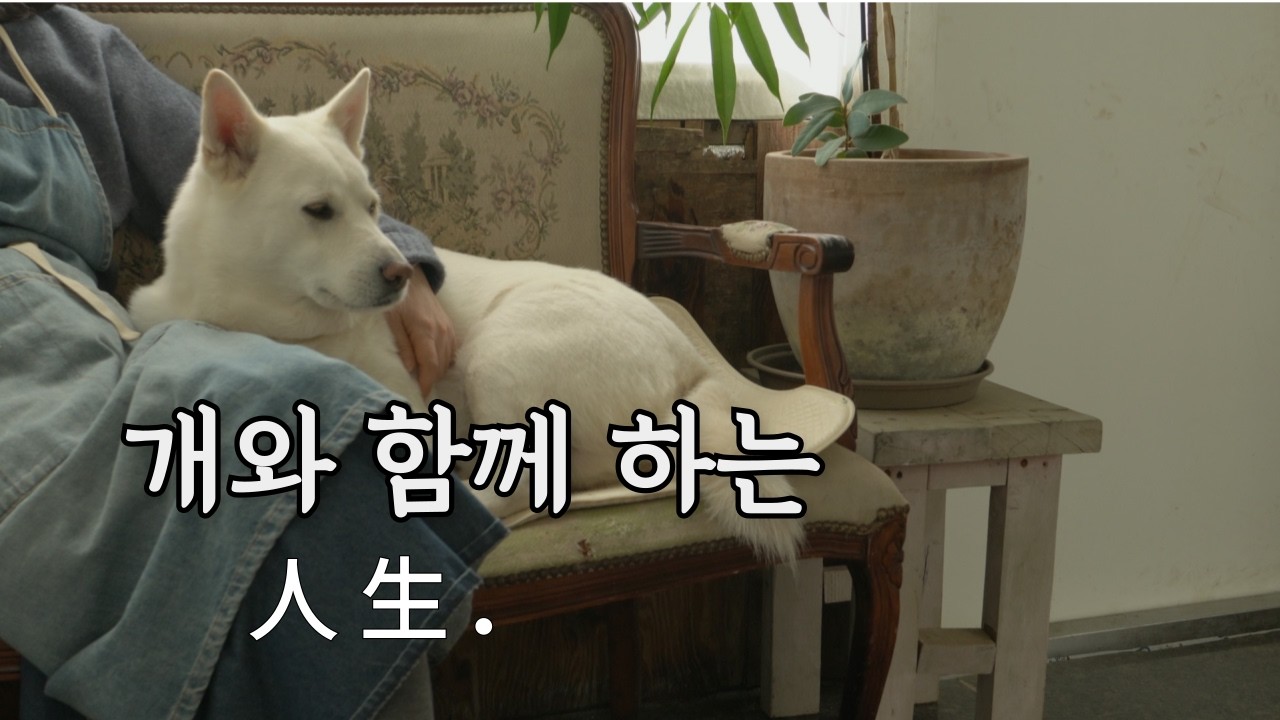 일주일 밤새워 만든 영상들, 100분이 알아봐 주셨어요
