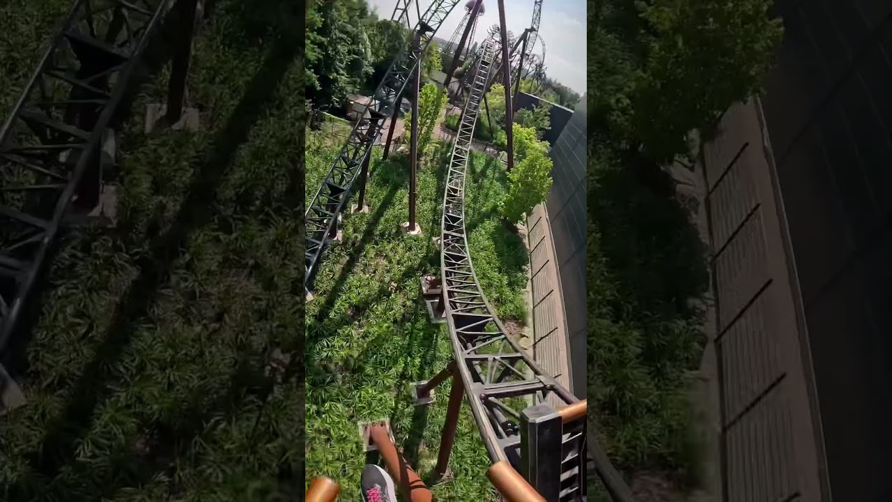 Voltron is the newest state-of-the-art #rollercoaster at #europapark! 🎢⚡️#pov #themepark #shorts