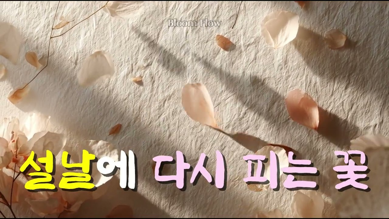 설날에 다시 피는 꽃 | 꽃 | 감성음악