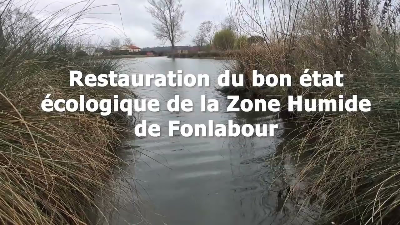 Restauration du bon état écologique de la Zone humide de Fonlabour