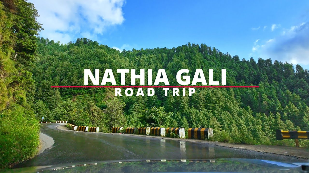 Nathia Gali Road Trip: Explore the Greenest and Most Scenic Road in Pakistan 