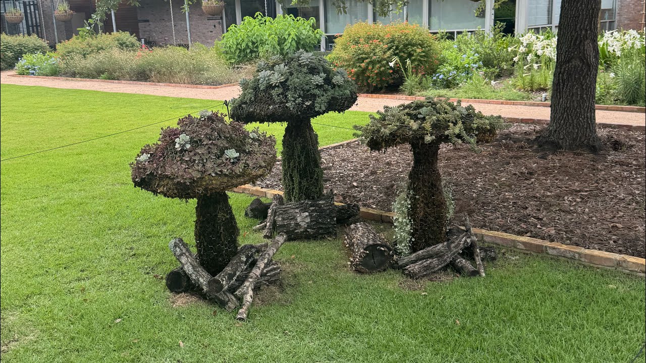 FIRST VLOG Shangri-La Vlog Feat- (@genesisadam1 ) (@kamr.en18)IG