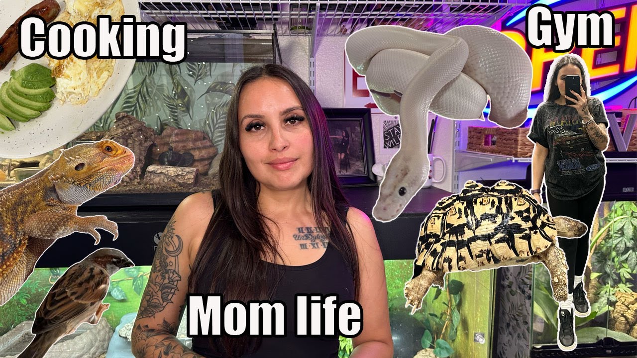 Day in my life as a REPTILE KEEPER