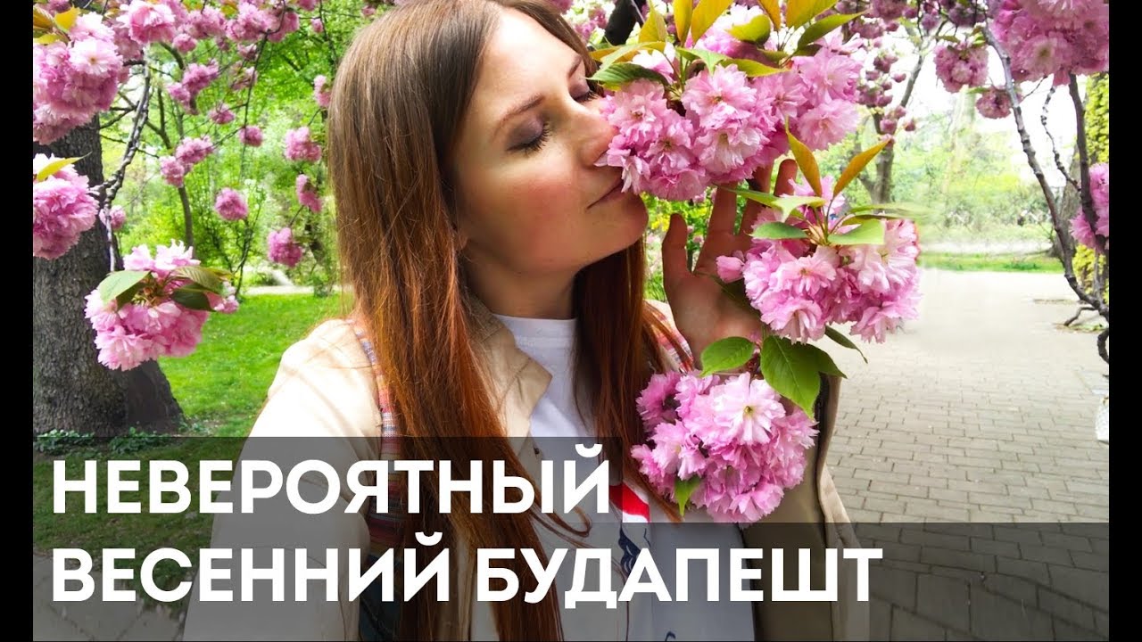 Невероятный весенний Будапешт