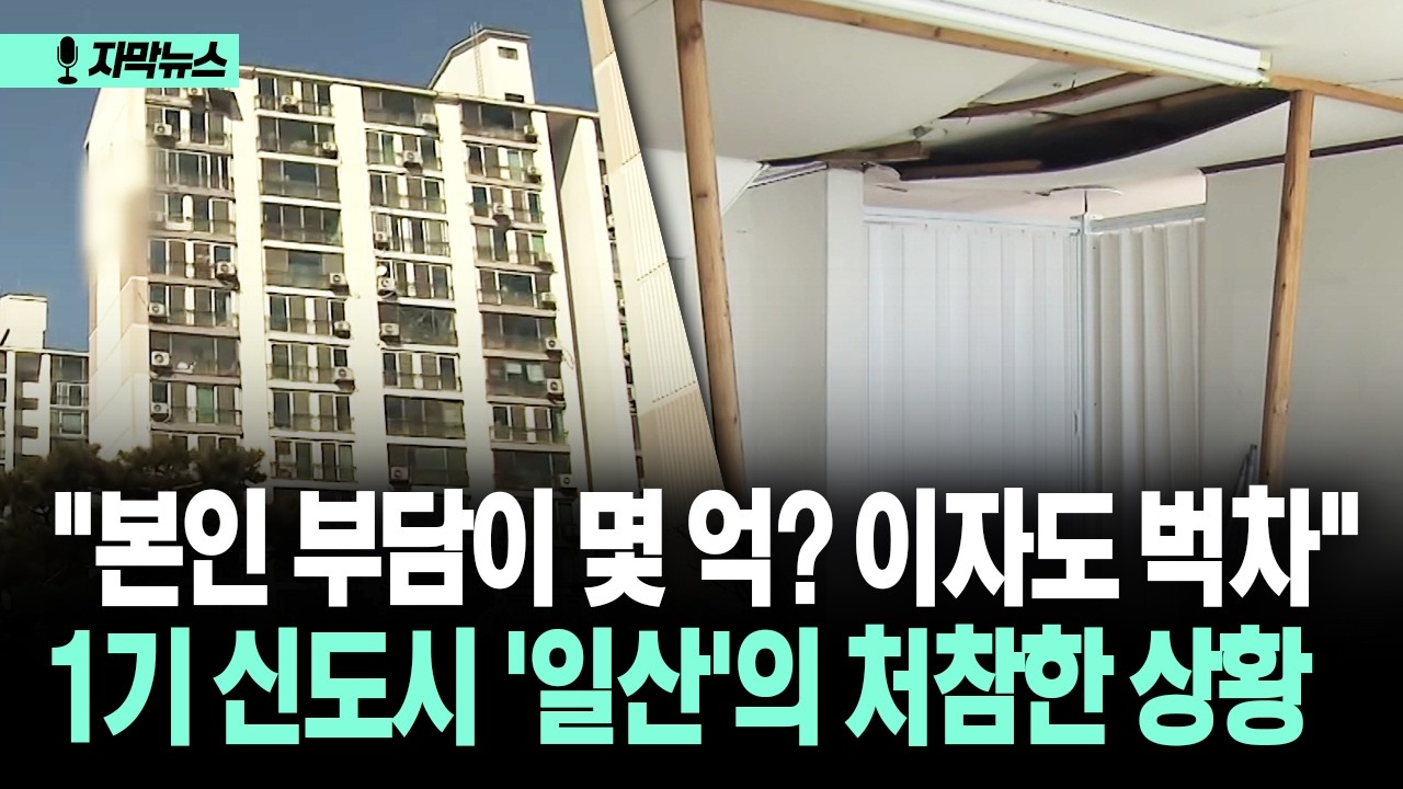 [자막뉴스] 
