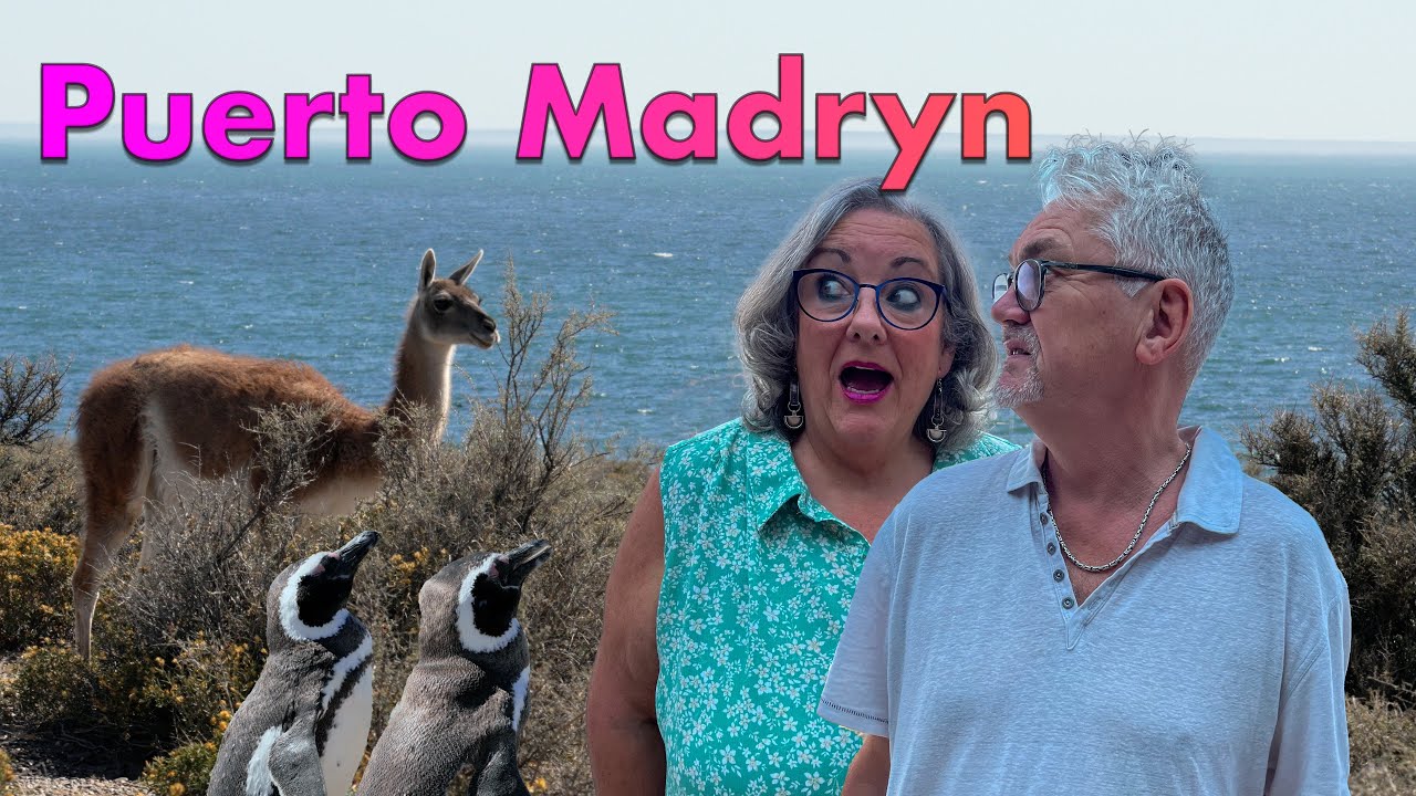 From City to Colony: Discovering Puerto Madryn and Punta Tombo, a Patagonia wildlife experience