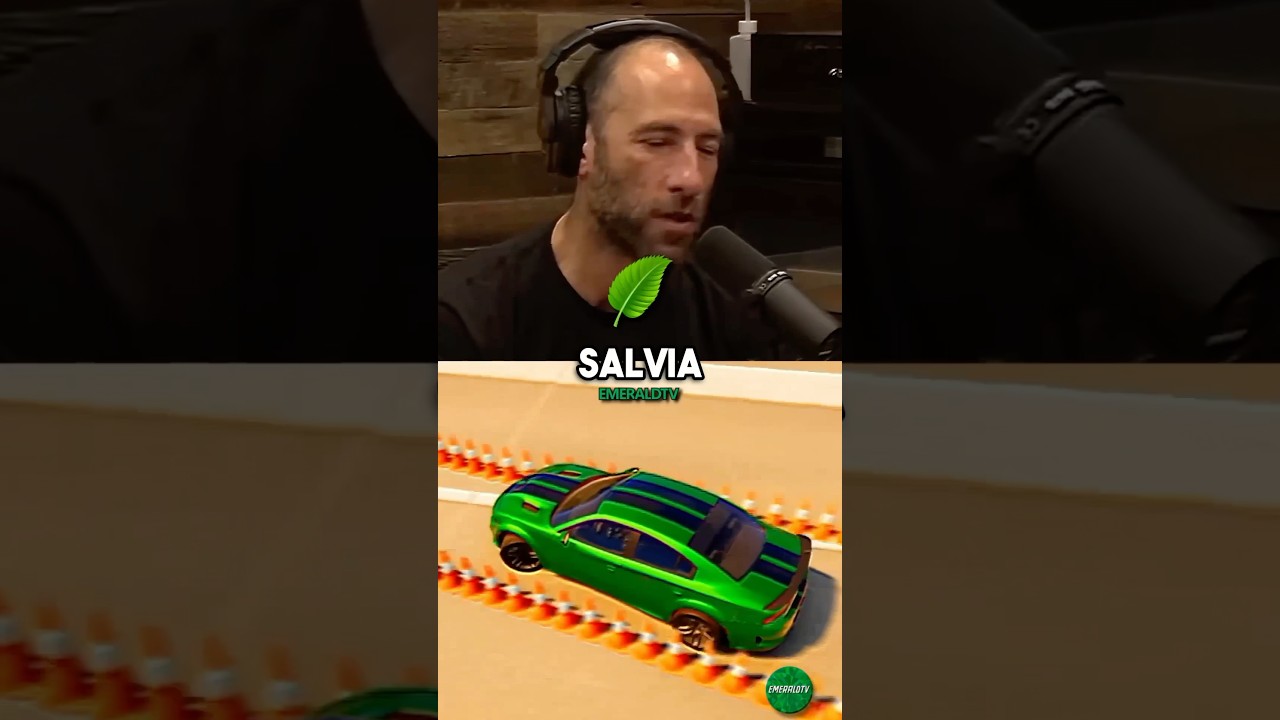 Ari Shaffir Talks About His INSANE Salvia Trip 🤯
