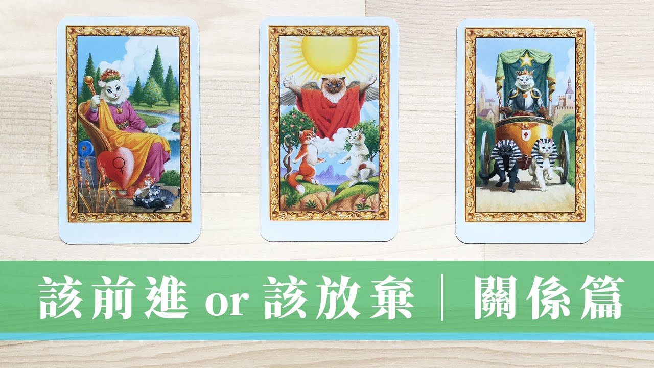 定期占卜｜誠實心裡話+下一步打算｜現在他她對我感覺？｜我該前進or放棄等待｜直白慎入｜無時間限制 Timeless