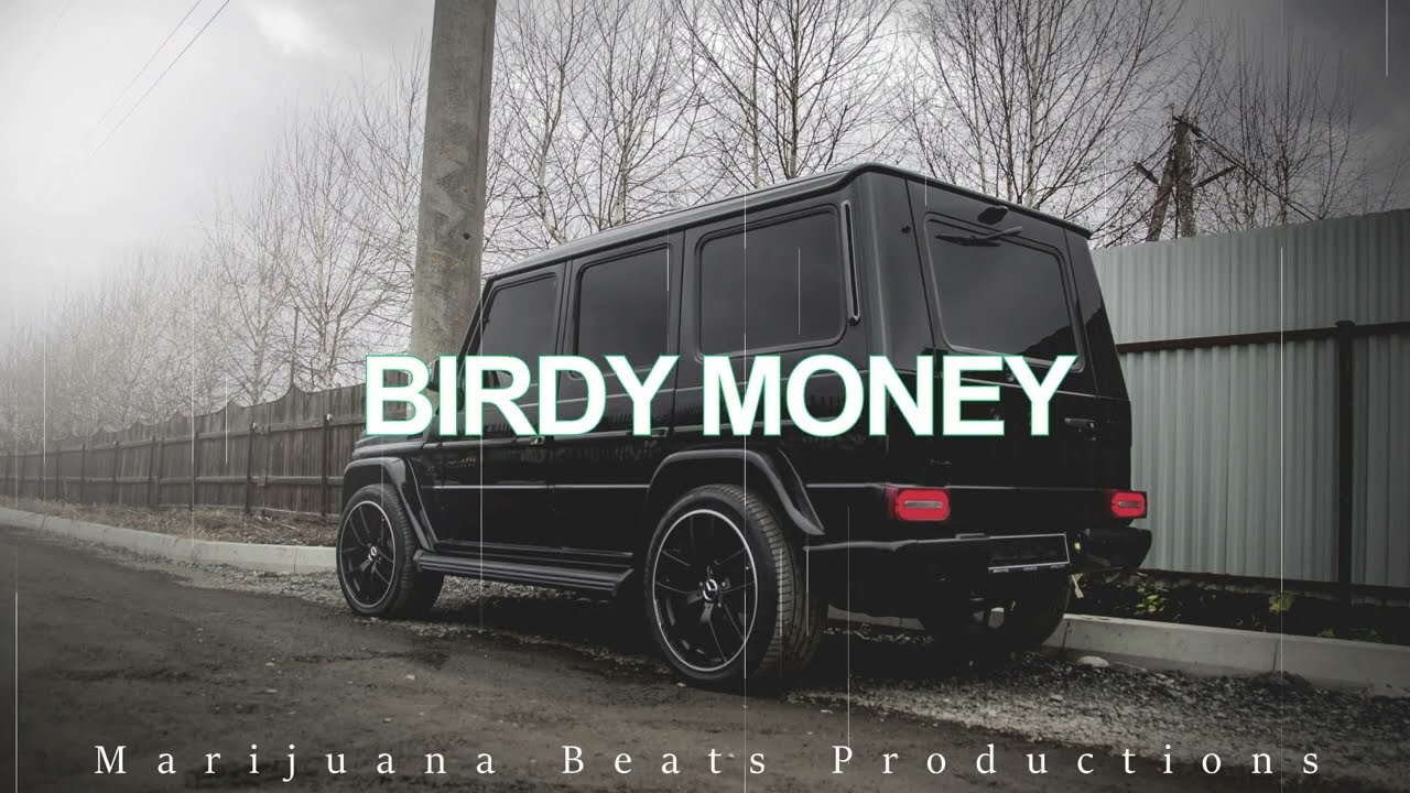 [FREE] '' BIRDY MONEY ''| HARD Trap Beat 2024 Free|Trap Rap Instrumental Beat 2024 Dark Beat +FREEDL
