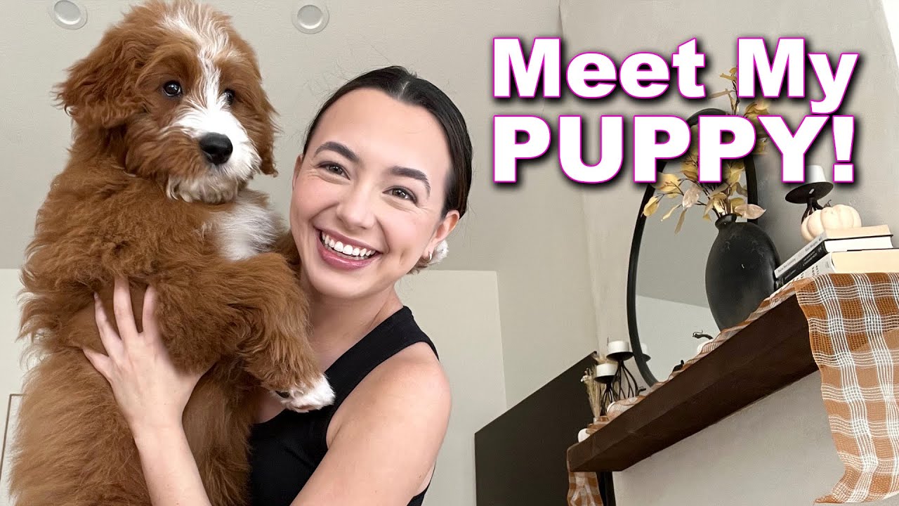 Meet My PUPPY with Veronica!