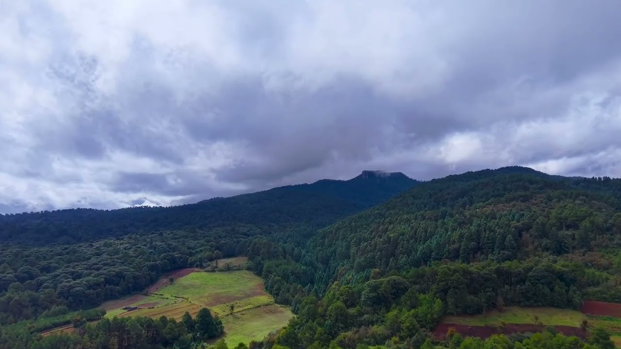 Encontré un pueblo muy tranquilo en medio del bosque #nature #travel 