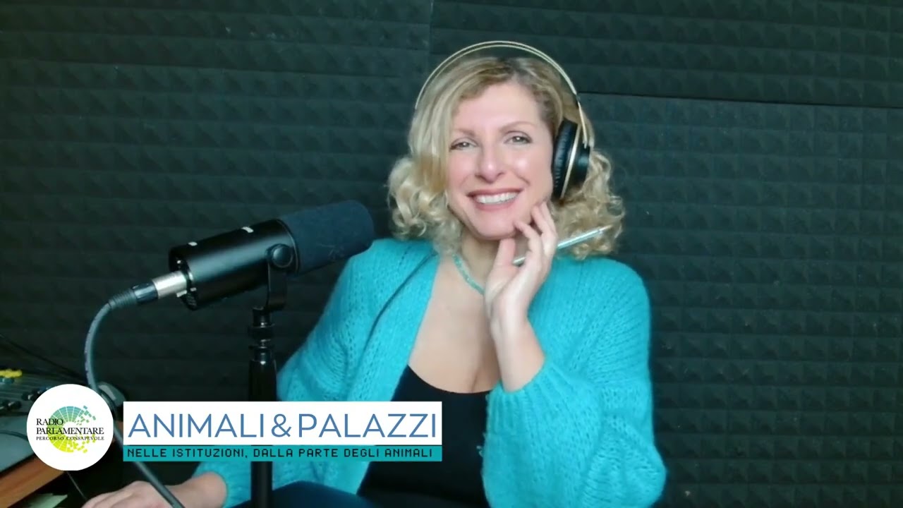 ANIMALI & PALAZZI - Nelle Istituzioni, dalla parte degli animali, puntata del 9/12/2025