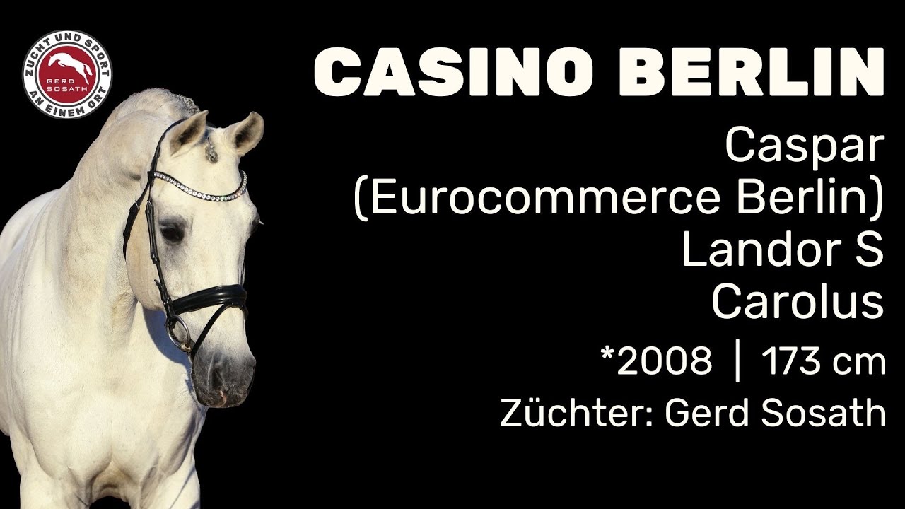 Casino Berlin OLD *2008 von Caspar (Eurocommerce Berlin) x Landor S | Hengstschau Sosath 2024