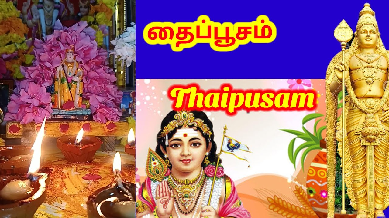 ✨தைப்பூச விரதம் மற்றும் சிறப்புகள்|Thaipusam fast&its special #thaipusam #special #viradham #video