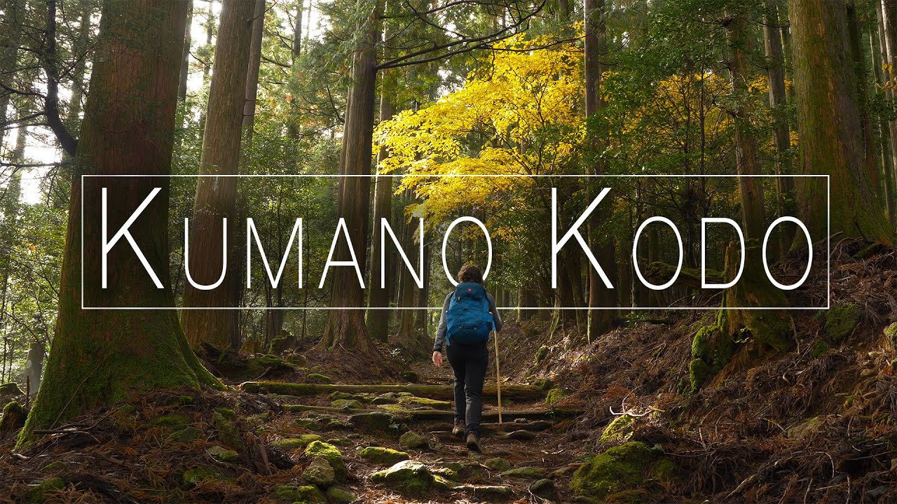 HIKING | The ancient KUMANO KODO Trail, Japan