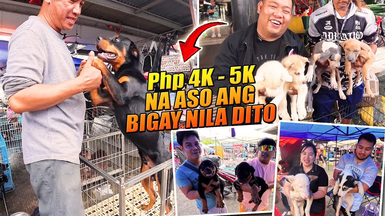 Pamaskong Handog ng mga Sellers sa GROTTO PET MARKET