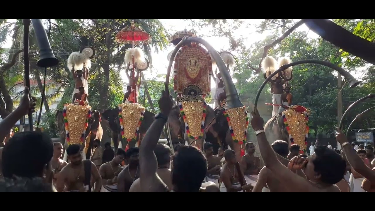 Chandanakkavu vela ചന്ദനക്കാവ് വേല എഴുന്നള്ളത്ത് 2026