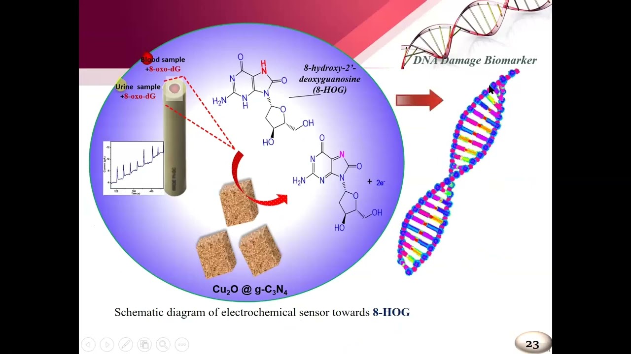 Fabrication of Carbon Supported 2D Nanocomposite for Electrochemical Biosensors,