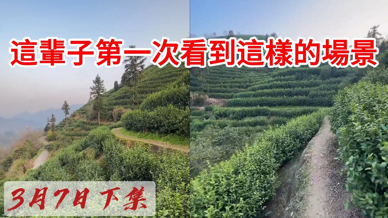 探索美麗山村卻餓肚子？這趟旅行太魔幻了！ 2026-03-07 17:19:43