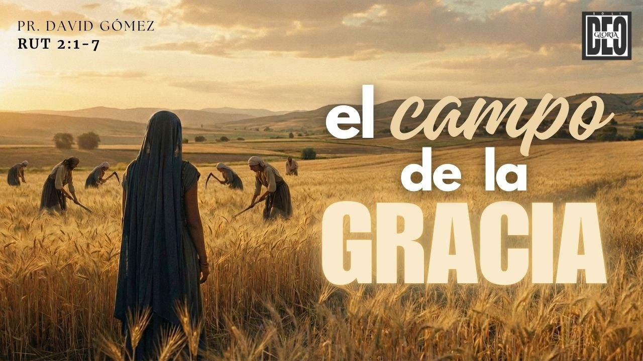 El campo de la gracia. Rut 2:1-7 | Pr. David Gómez. ISDG