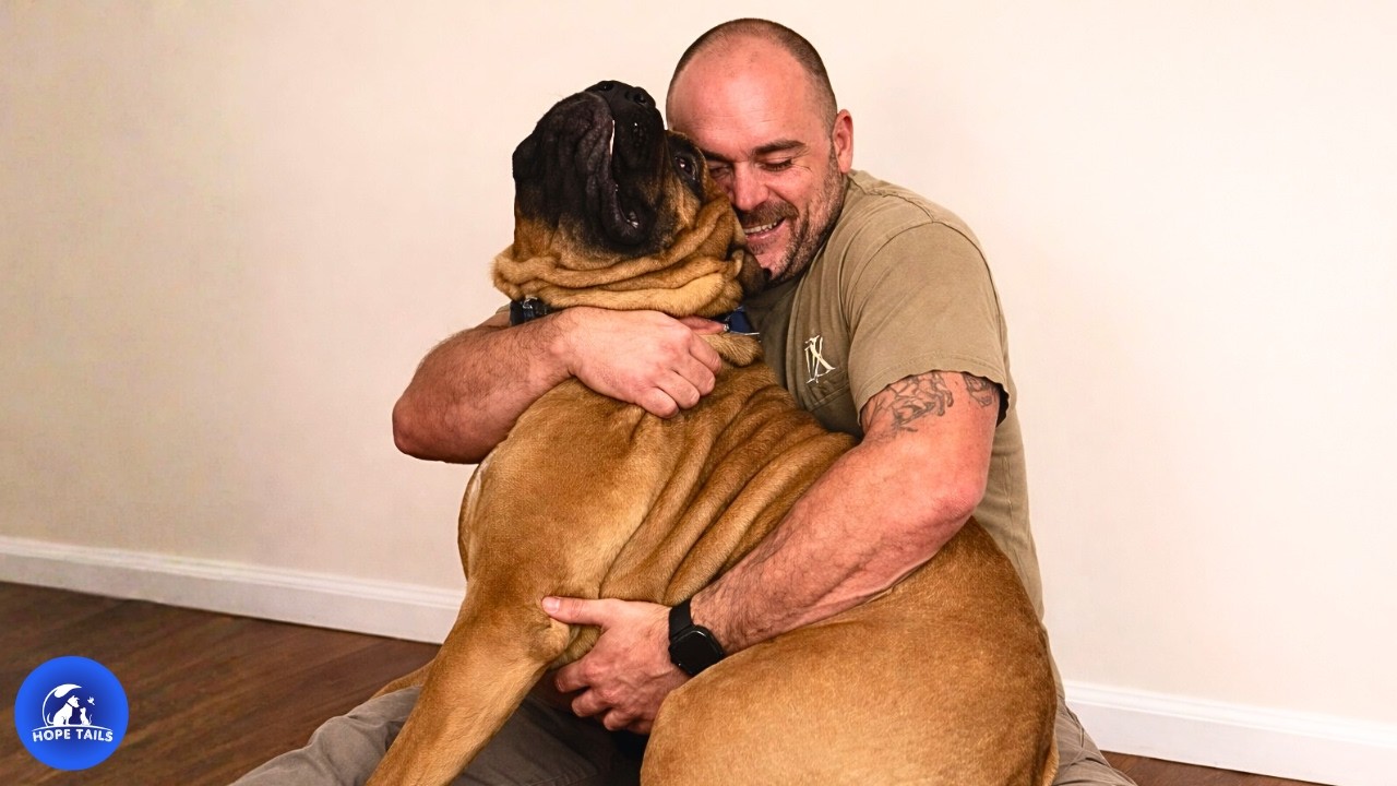 No One Wanted This 200lb ‘Beast’ Until He Snuggled Dad