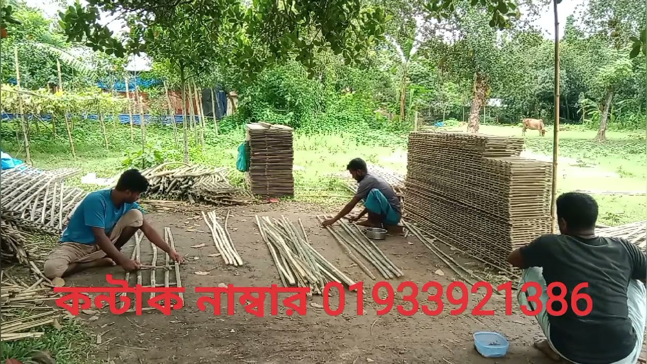 লেয়ার মুরগির বাঁশের খাঁচা সুলভ মূল্যে তৈরি করা হয় নিখুঁত কারিগর রশিদুল ভাই যোগাযোগ 01791018525