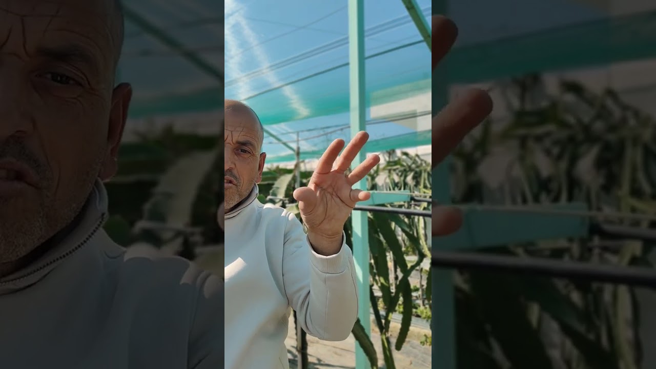 🌿👈اول تجربه حديدية في 👈تونس الحبيبة