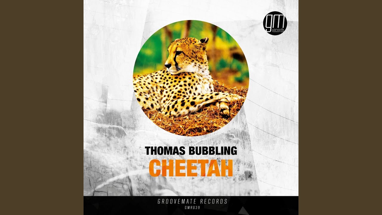 Cheetah (Original Mix)