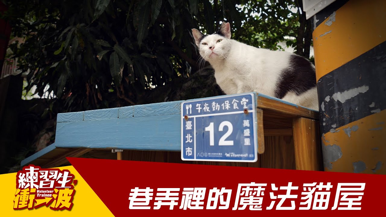 巷弄裡的魔法貓屋｜《練習生，衝一波！》S4 EP01