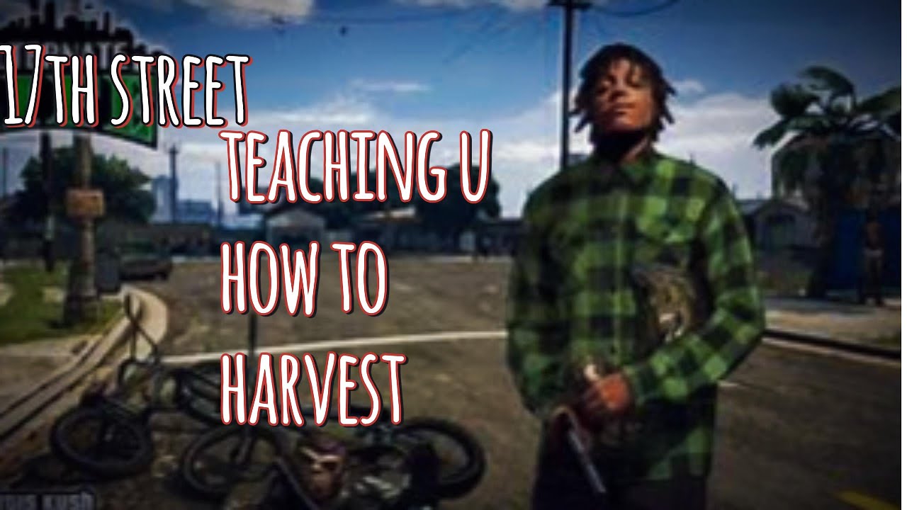 TUTORIAL on how to harvest drugs on 17th street gta rp MUST WATCH !