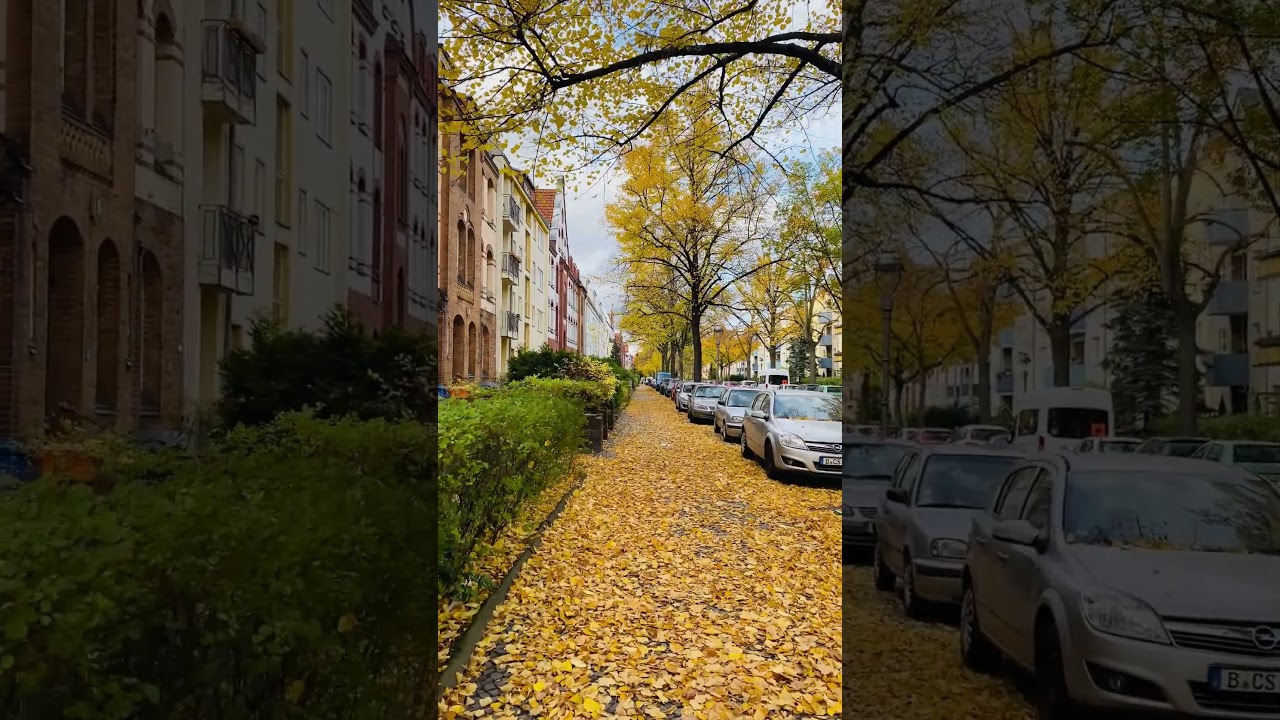Germany Beautiful Autumn Leaves 🍁🍂 #nature #berlin #4k #shorts