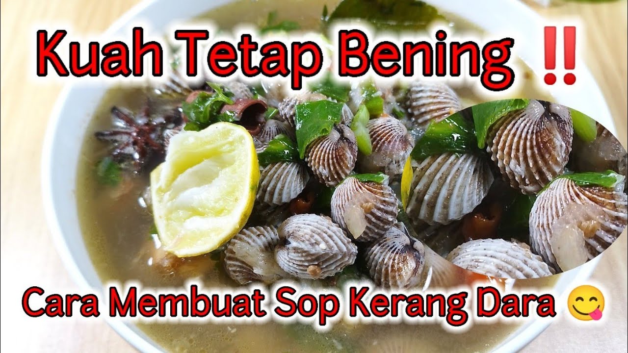 Kuah Tetap Bening ! Cara Memasak Sup Kerang Dara Yang Segar dan Enak