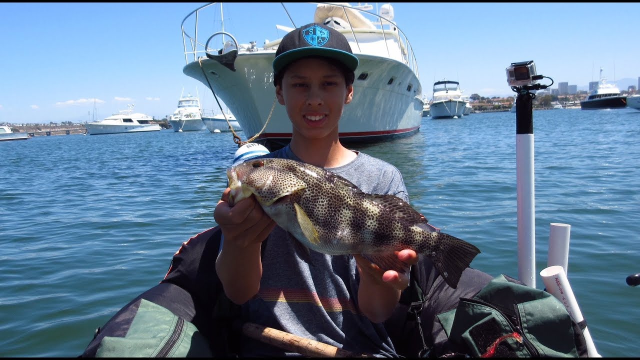 Fishing Newport Harbor with A-Rigs and Swimbaits