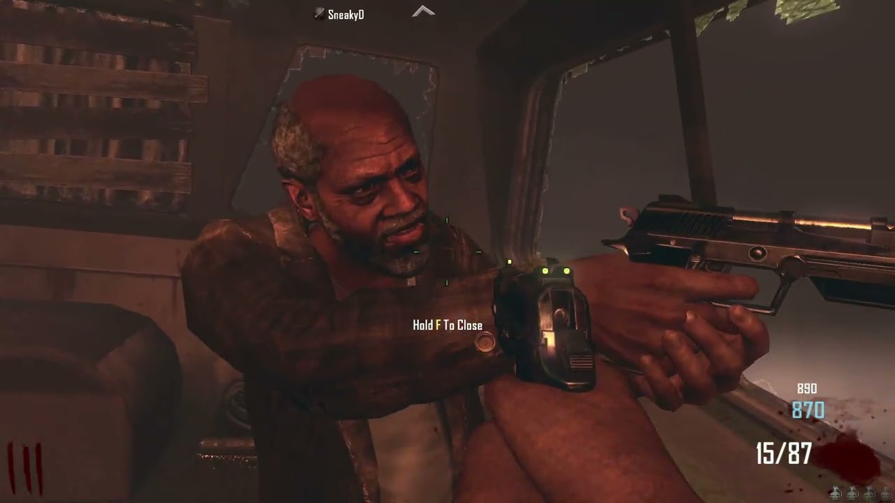Zombies and chill bo2