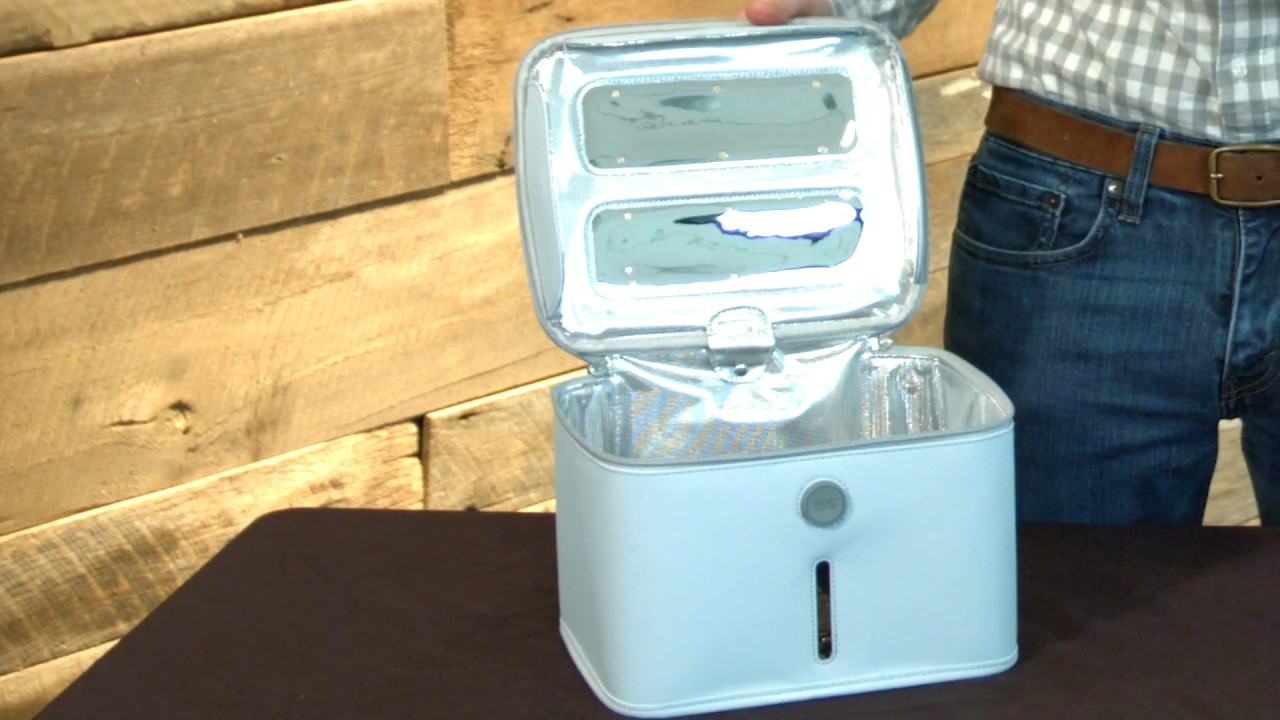 Portable UV Disinfection Bag