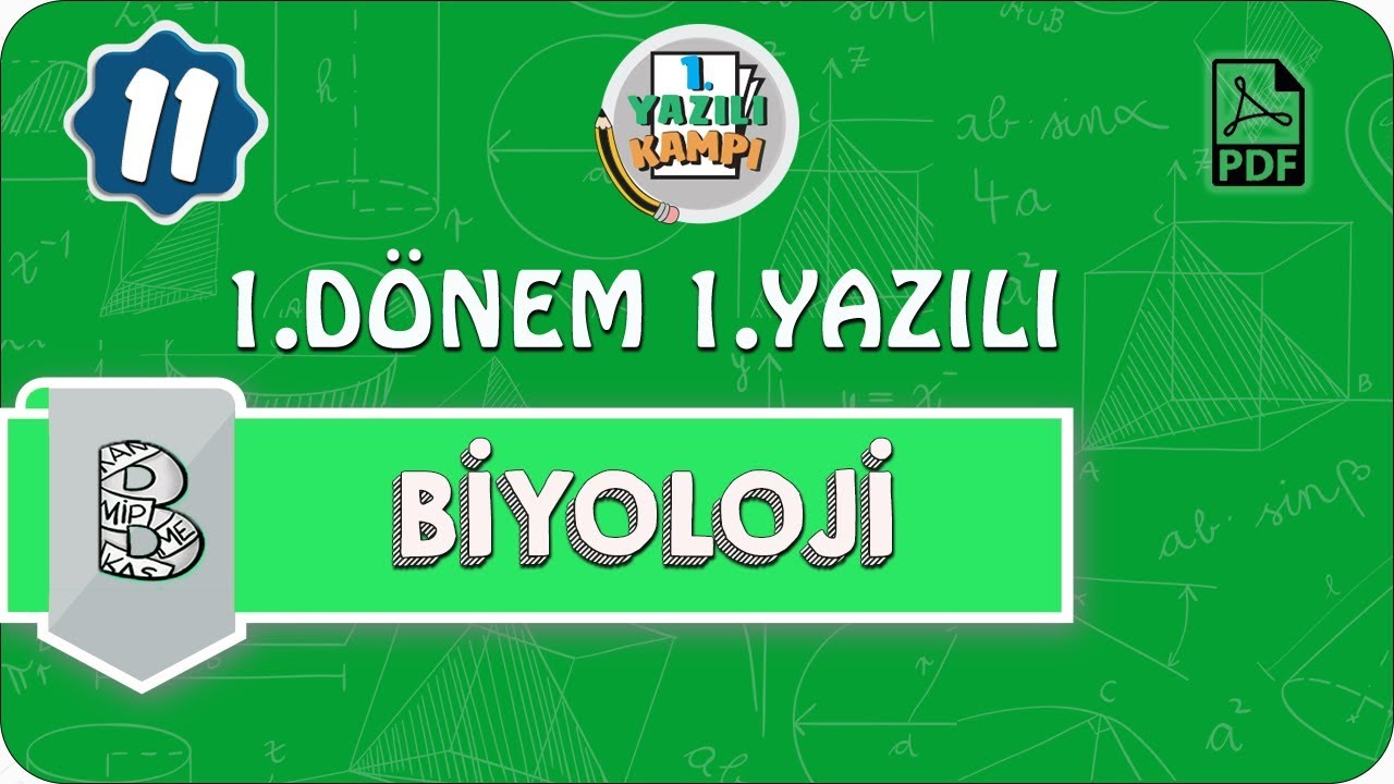 11. Sınıf Biyoloji | 1. Dönem 1. Yazılıya Hazırlık