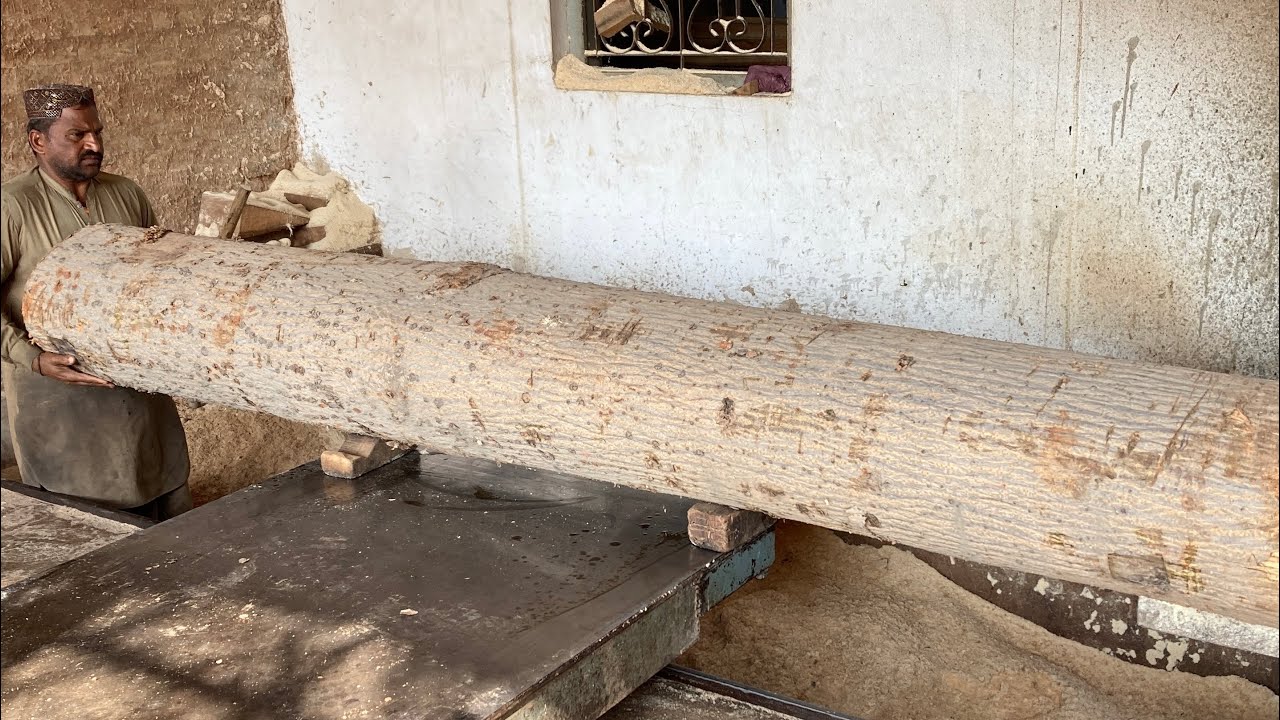 Sambal Wood Used for Heavy Construction Shuttering .