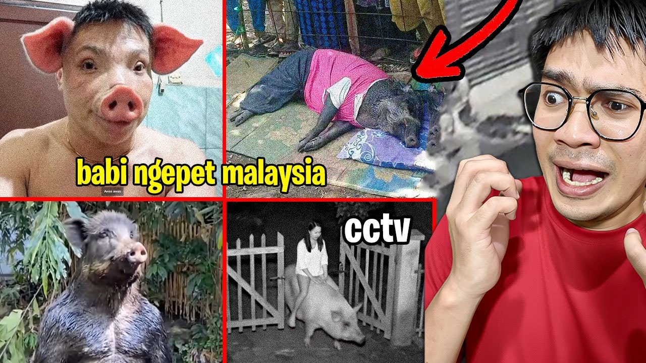 CCTV MEREKAM BABI NGEPET DI DEPAN RUMAH