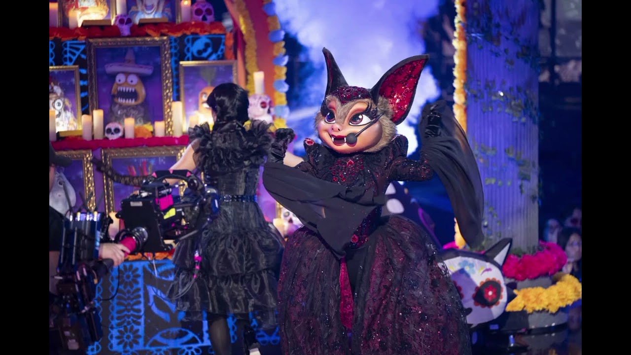 Nocturna Performance 