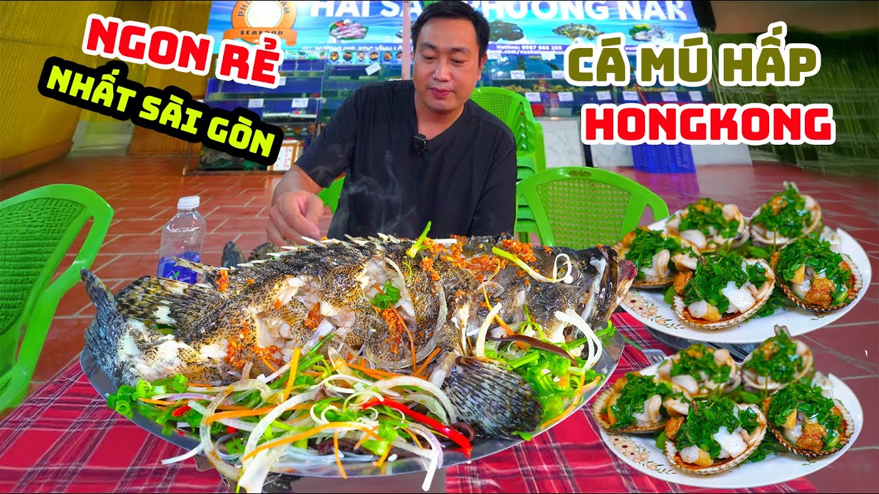 Bất Ngờ Cá Mú Hấp Hồng Kông Ngon Rẻ Nhất Sài Gòn Giá Quán Bằng Giá Vựa Ít Ai Làm Được