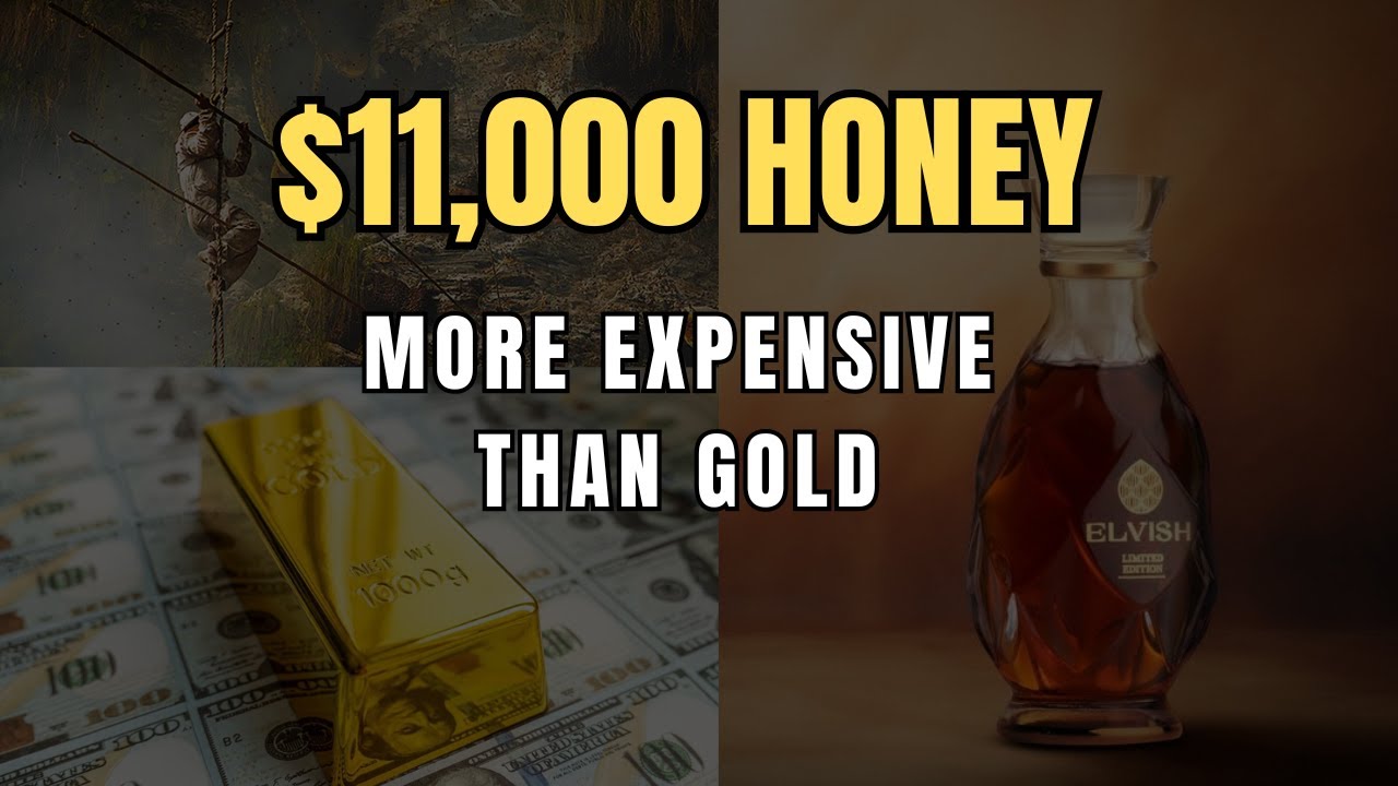 Why Elvish Honey Is More Expensive Than Gold? | Why So Expensive
