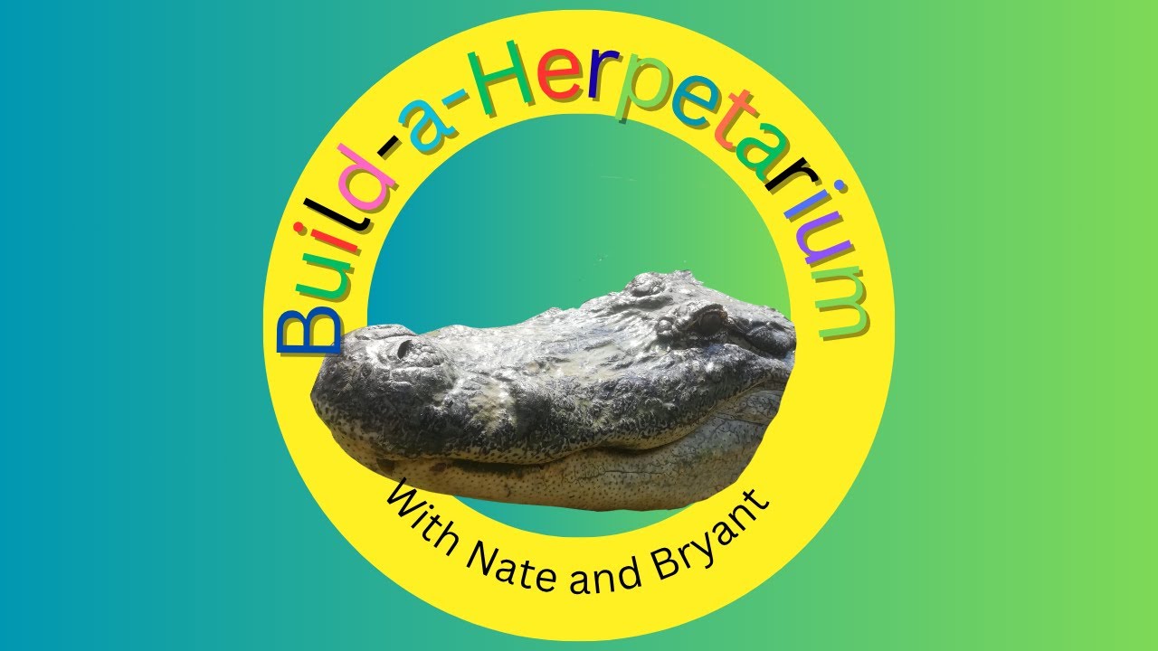 Building Our Dream Zoo | Reptile Ramblings #20