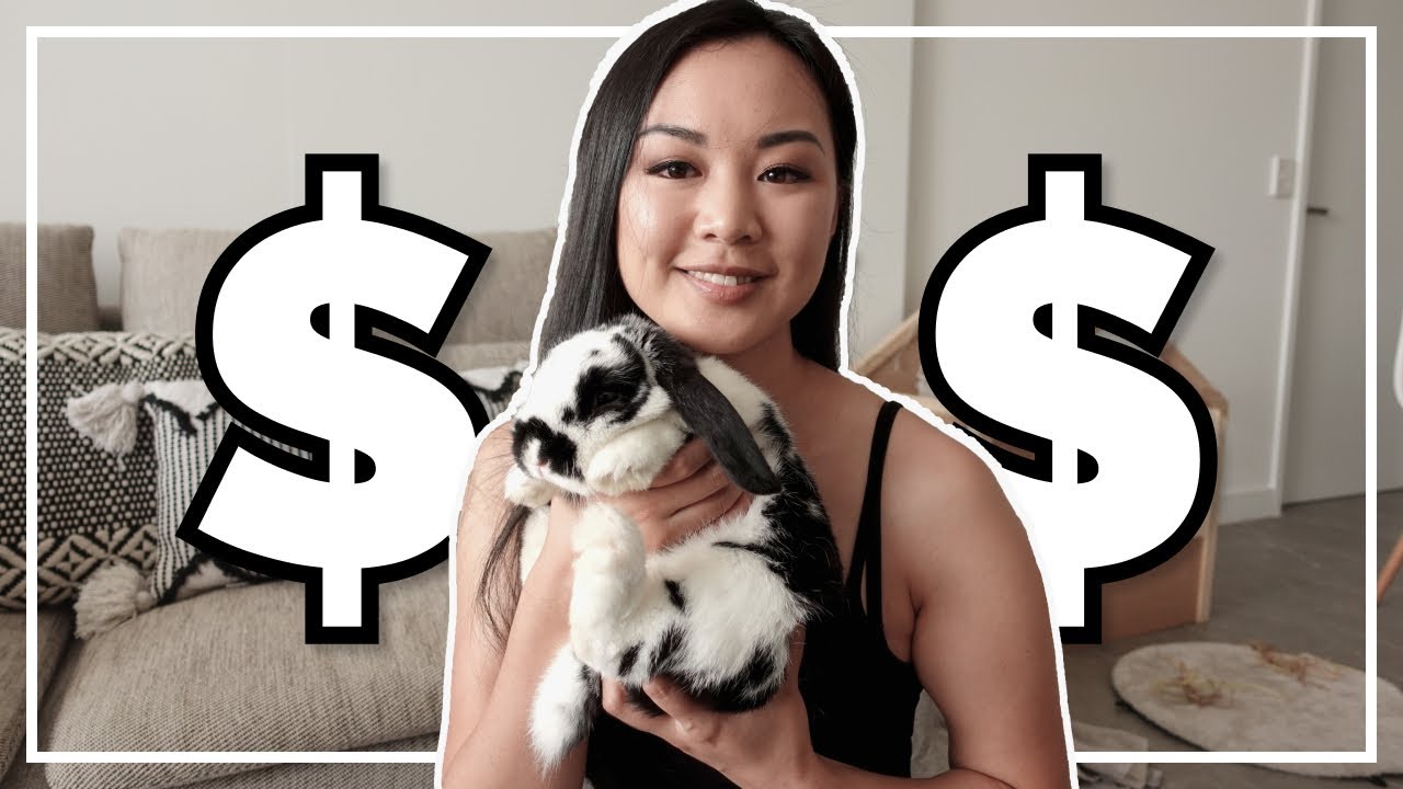 How Much Money Have I Spent on My Bunnies? 💸