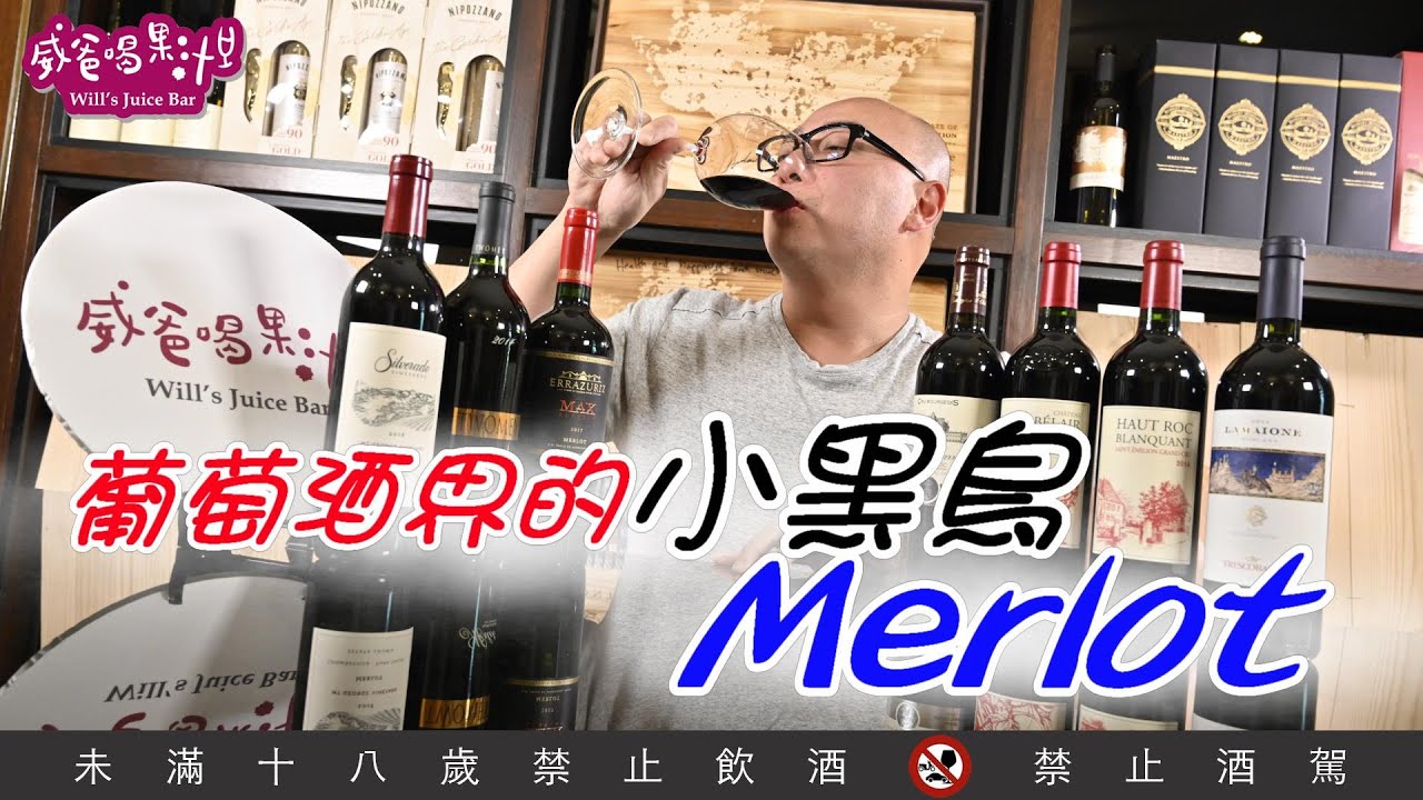 葡萄酒界的小黑鳥——Merlot【威爸喝果汁 Will's Juice Bar 48】