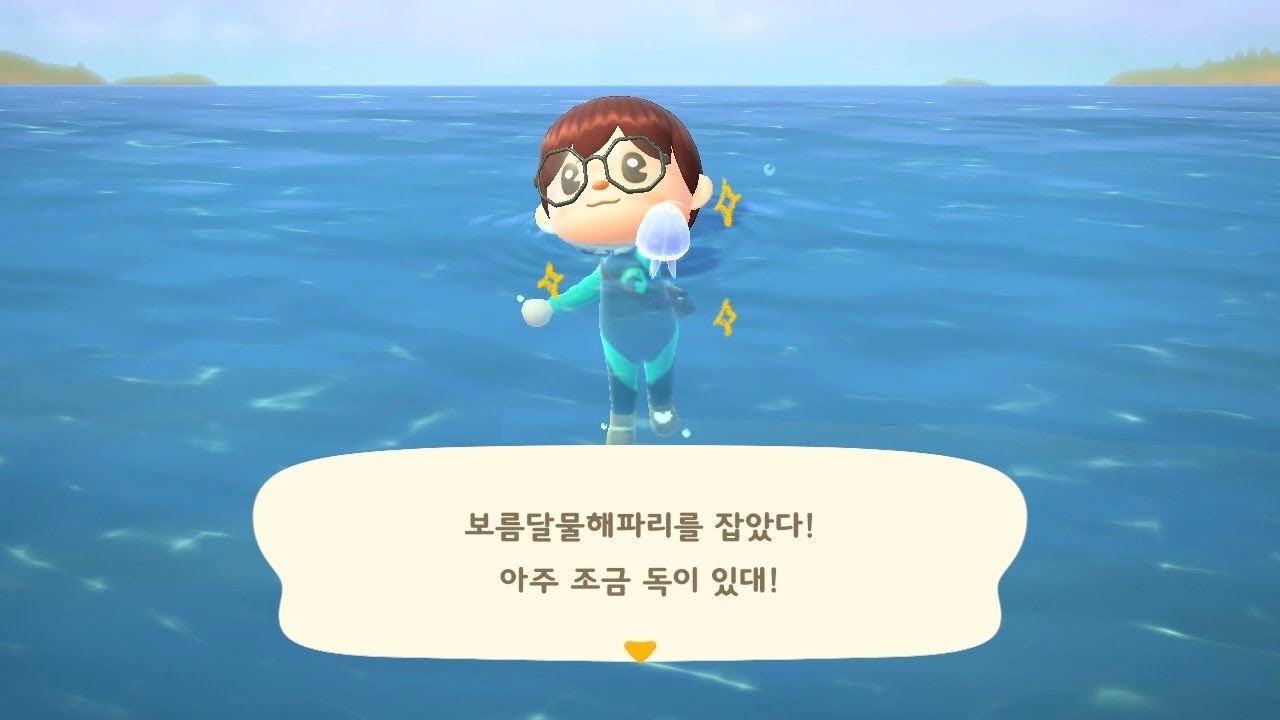 ~춤추는 해파리~