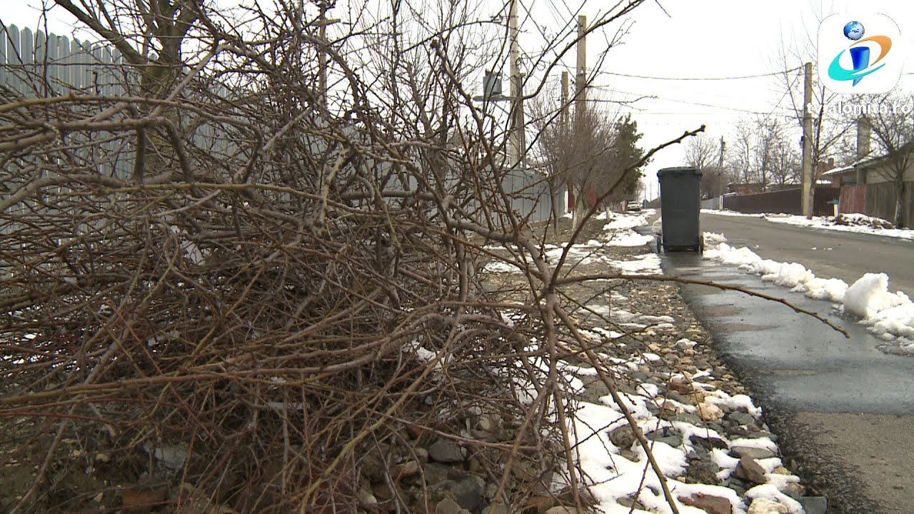 TV IALOMITA - Amenzi drastice pentru arderea frunzelor în curți