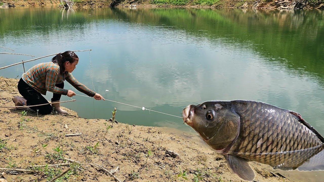 Luyen's ancient fishing skills helped him catch a large school of carp to sell at the market.