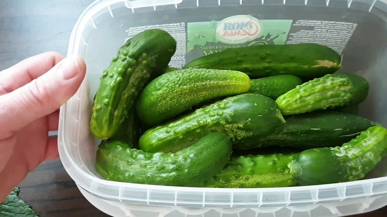 Salz Dill Gurken ganz einfach selber einlegen.