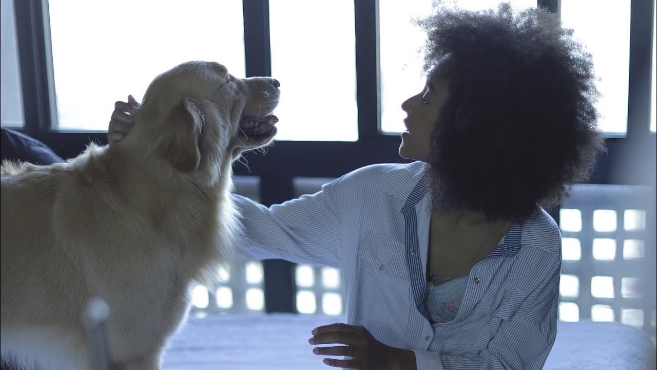 Até o nosso dog tá sofrendo - Marília Lopes ft. Jota.pê (clipe oficial)